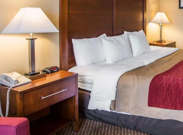 Comfort Inn & Suites Morganton South hotel detail image 4