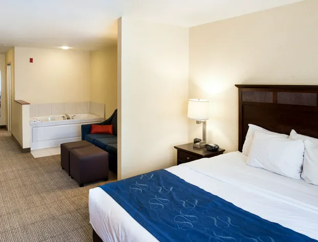 Comfort Suites Lake Geneva East hotel detail image 4