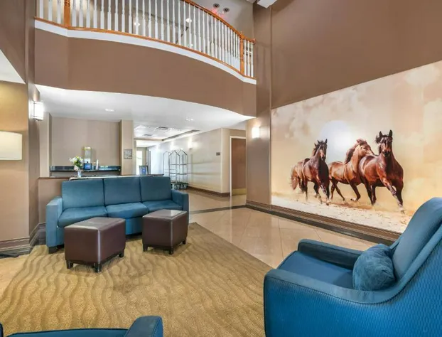 Comfort Suites Ocala North hotel detail image 3