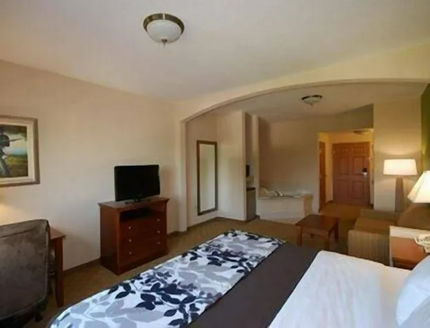 Sleep Inn & Suites hotel detail image 4