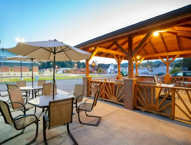 Holiday Inn Express Hotel & Suites ELKINS by IHG hotel detail image 4