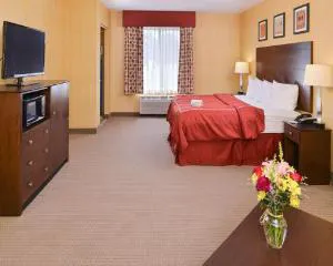 Quality Suites Stratford hotel detail image 2