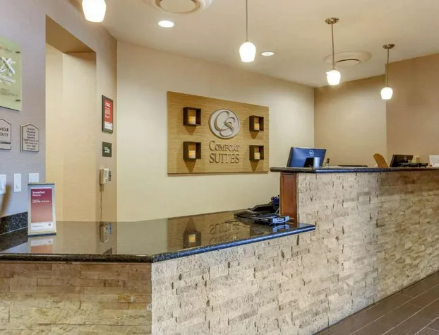 Comfort Suites Glendale - State Farm Stadium Area hotel detail image 4