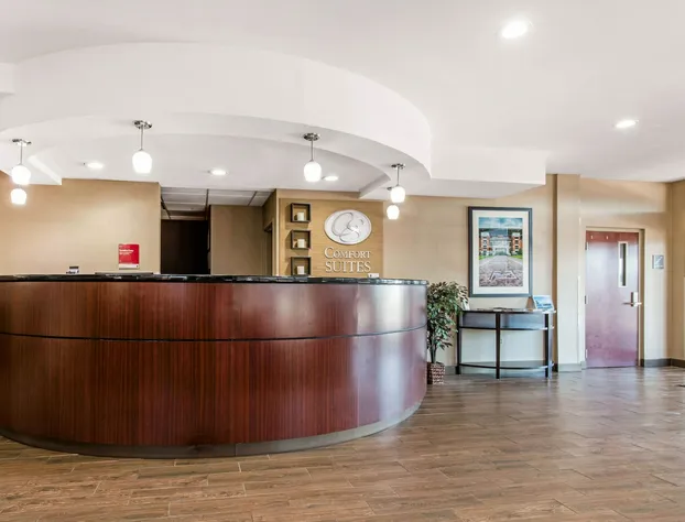 Comfort Suites Tuscaloosa near University hotel detail image 2