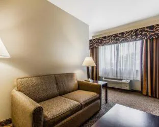 Comfort Inn and Suites Near Lake Guntersville hotel detail image 4