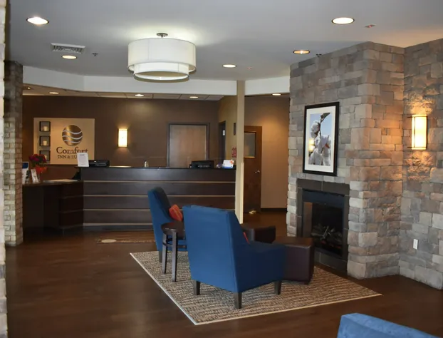 Comfort Inn and Suites Near Lake Guntersville hotel detail image 3