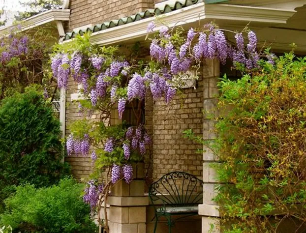 Brass Pineapple Inn hotel detail image 1