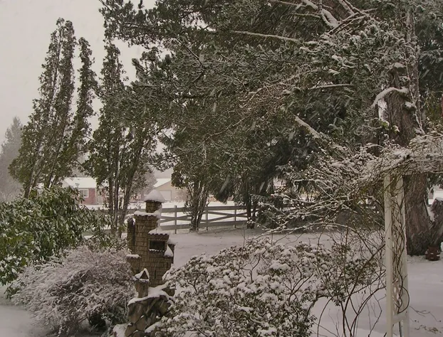 Miller Tree Inn hotel detail image 1