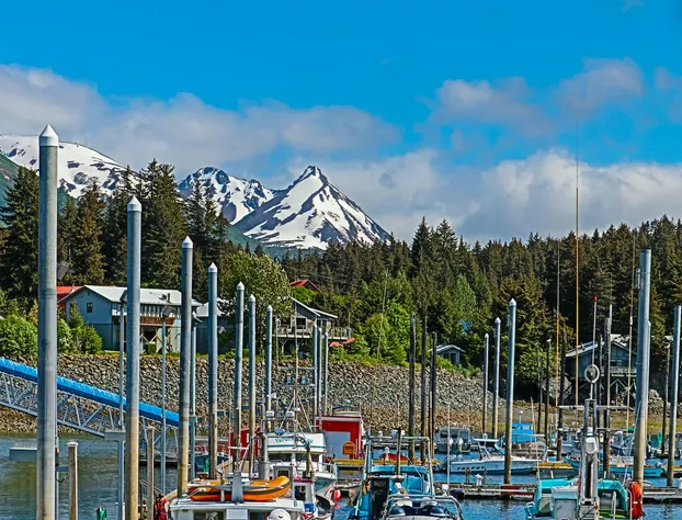 Sea Parrot Inn hotel detail image 2