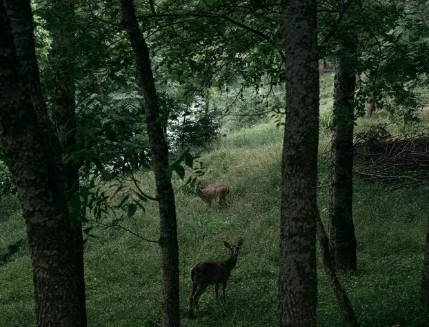 Gruene River Inn hotel detail image 3