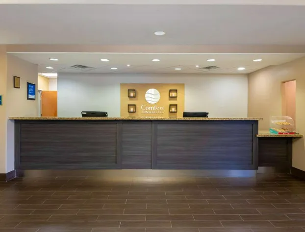 Comfort Inn & Suites, Odessa I-20 hotel detail image 3