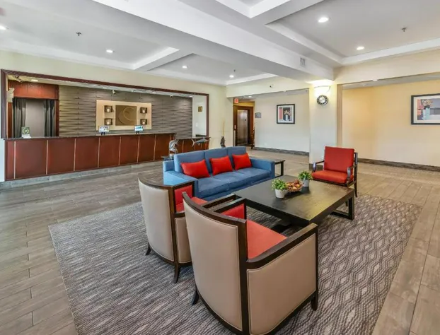 Comfort Inn hotel detail image 4