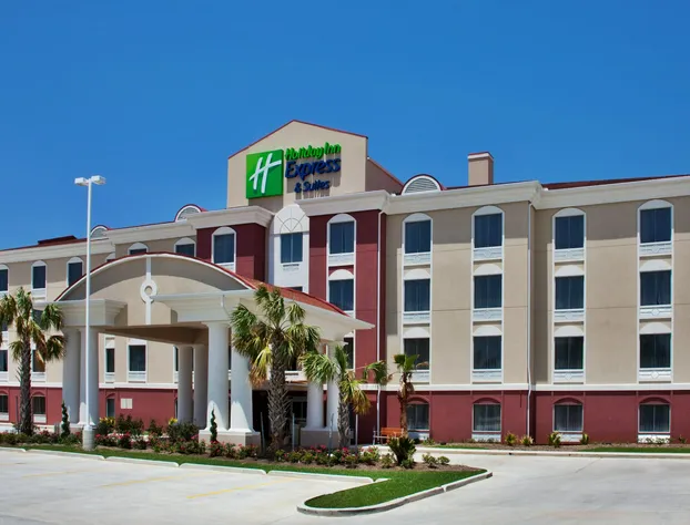 Holiday Inn Express Hotel & Suites AMITE by IHG hotel detail image 1