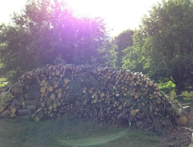 Grandview Lodge hotel detail image 2