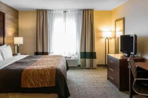 Comfort Inn Ludington hotel detail image 4