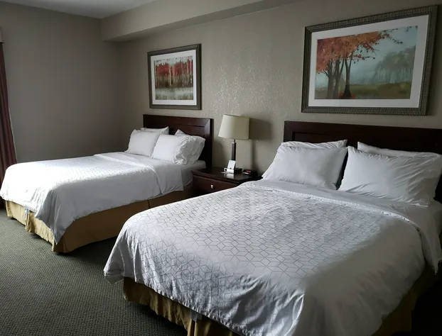 Holiday Inn Express Dryden by IHG hotel detail image 4