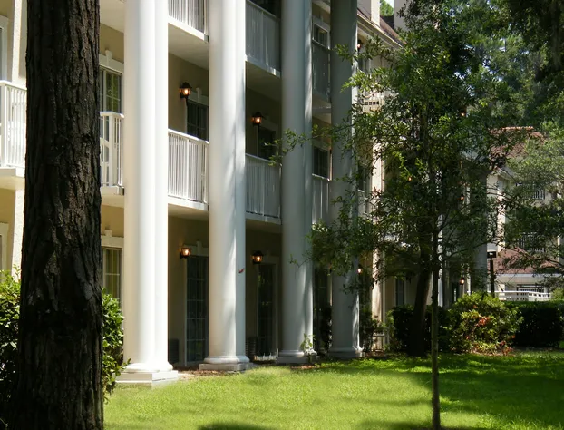 Palmera Inn and Suites hotel detail image 3