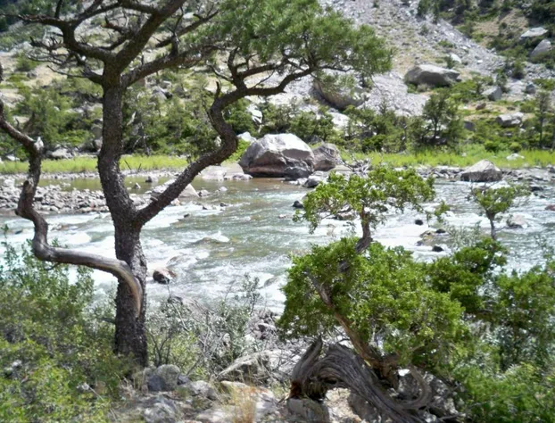 Super 8 by Wyndham Cody hotel detail image 4