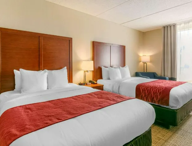 Comfort Inn & Suites Nashville Franklin Cool Springs hotel detail image 3