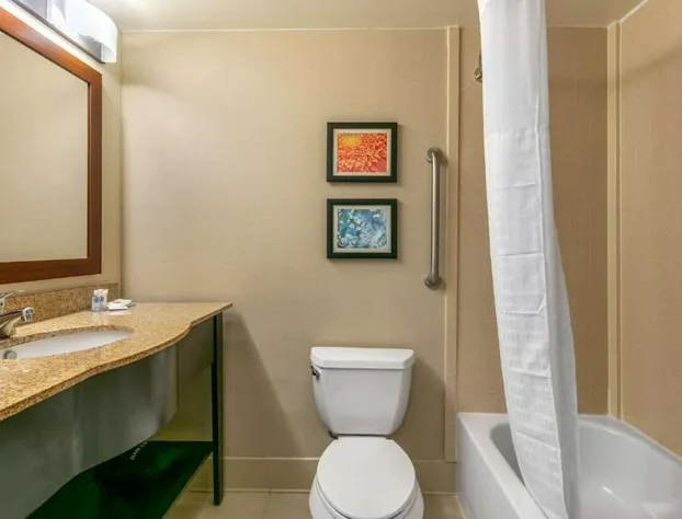 Comfort Inn & Suites Nashville Franklin Cool Springs hotel detail image 3