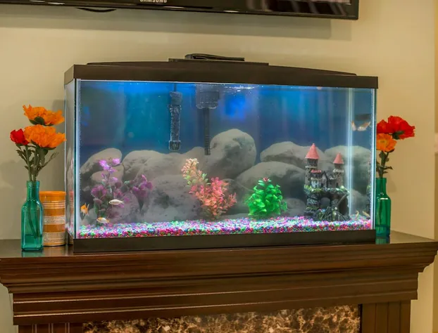 Econo Lodge Manchester, VT hotel detail image 4