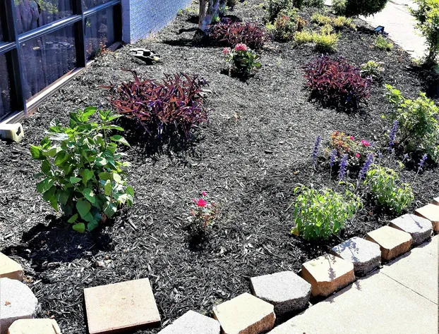 Madison Inn and Suites hotel detail image 4