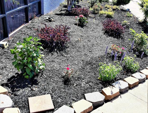 Madison Inn and Suites hotel detail image 3