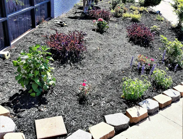 Madison Inn and Suites hotel detail image 3