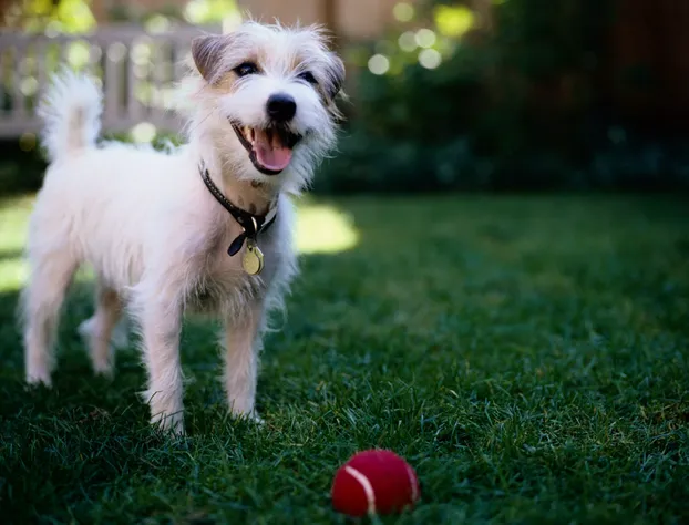 Four Points by Sheraton Moncton hotel detail image 1