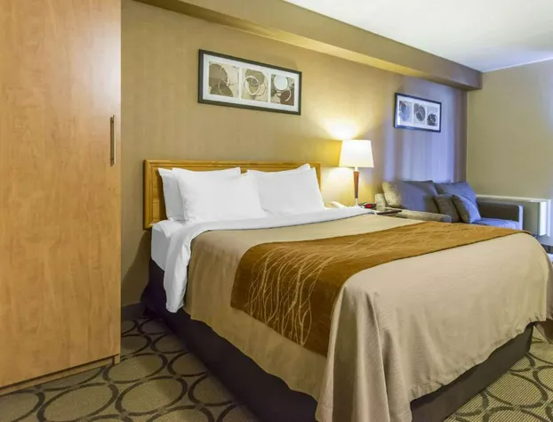 Comfort Inn hotel detail image 2