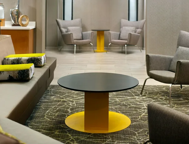 SpringHill Suites by Marriott Charlotte Univ. Research Park hotel detail image 2