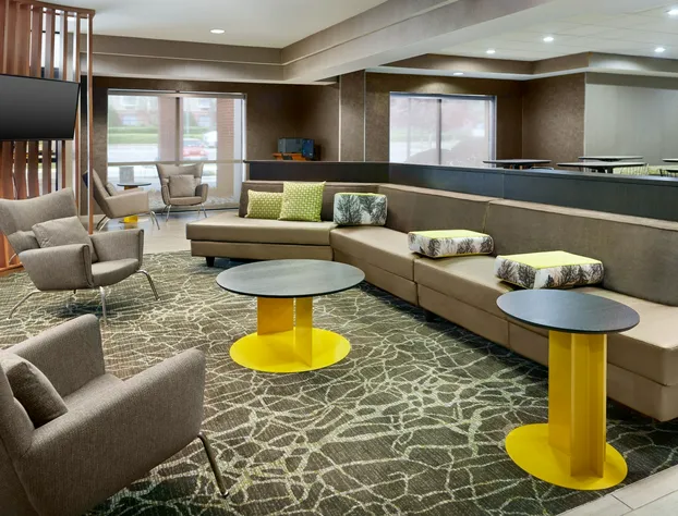 SpringHill Suites by Marriott Charlotte Univ. Research Park hotel detail image 3