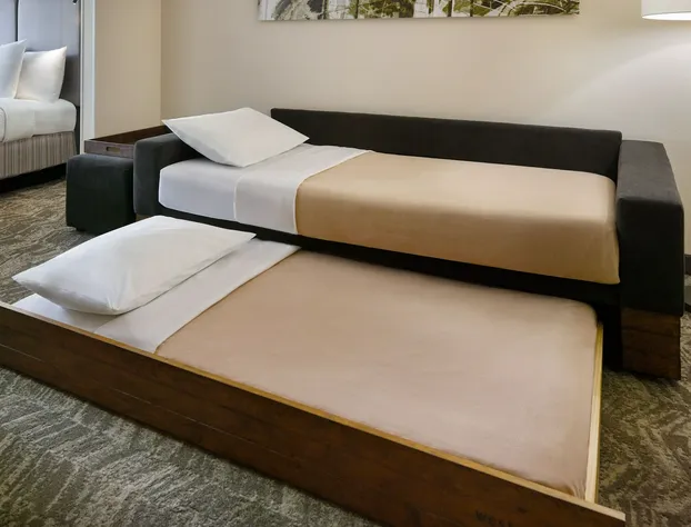 SpringHill Suites by Marriott Charlotte Univ. Research Park hotel detail image 4