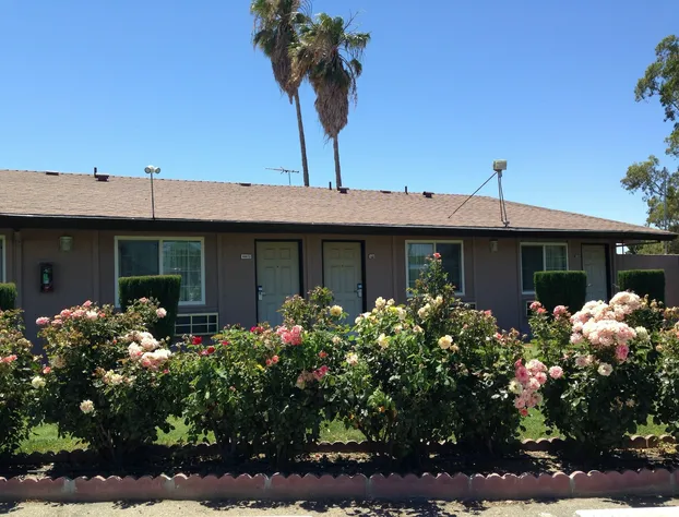 Maple Inn & Suites hotel detail image 1