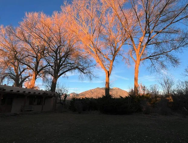 Hacienda del Sol Historic Bed & Breakfast hotel detail image 3