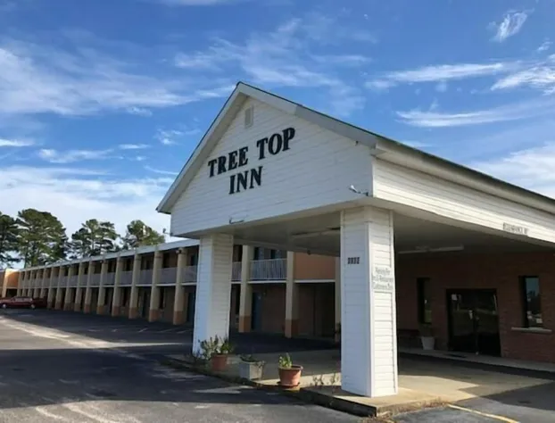 Tree Top Inn Florence hotel detail image 1