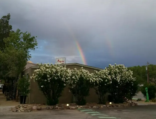 Atomic Inn Beatty Near Death Valley hotel detail image 3