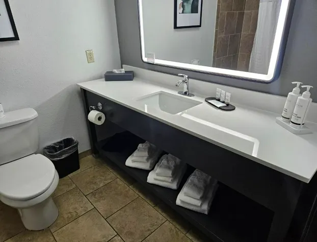 La Quinta Inn & Suites by Wyndham Minot hotel detail image 4