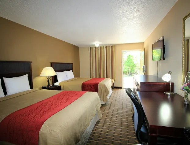 The Night Inn hotel detail image 3