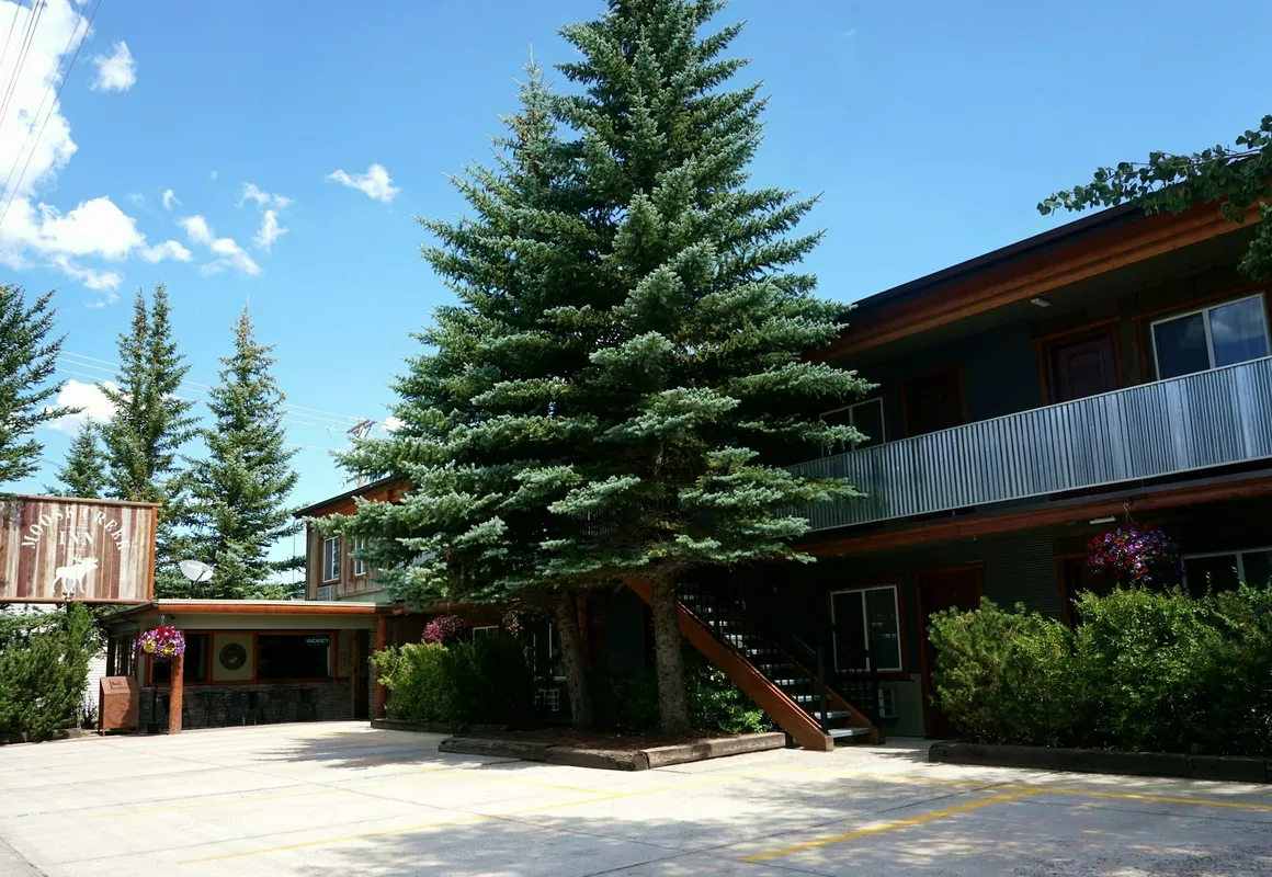 Moose Creek Inn hotel hero
