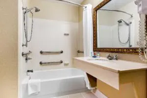 Comfort Inn & Suites Decatur - Forsyth hotel detail image 4