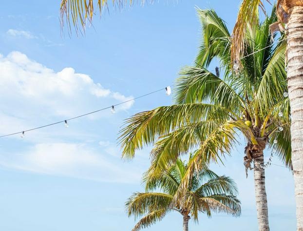 The Molloy - A Boutique Beach Resort hotel detail image 1