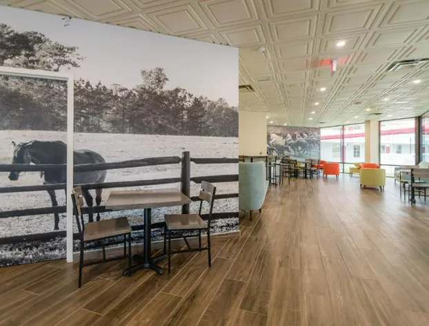 Equus Inn Ocala hotel detail image 4