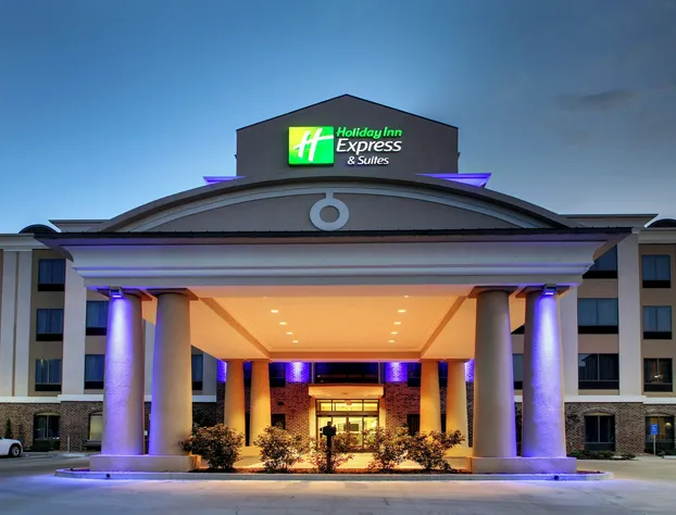 Holiday Inn Express Hotel & Suites Natchez South by IHG hotel detail image 1