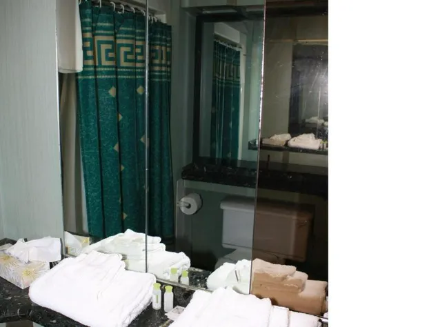 Grand Motel Saint-Hubert hotel detail image 2