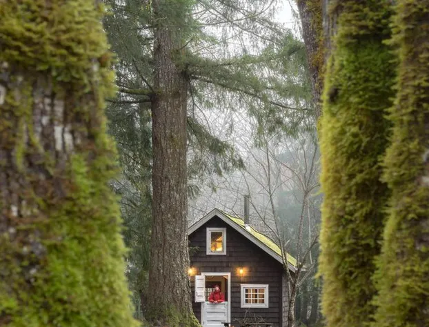 Sunwolf hotel detail image 1