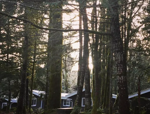 Sunwolf hotel detail image 4