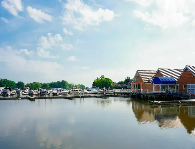 Cedar Point's Castaway Bay hotel detail image 3