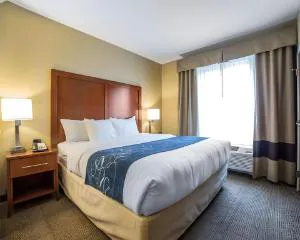 Comfort Suites Airport - University hotel detail image 4