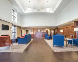 Comfort Suites Airport - University hotel detail image 2